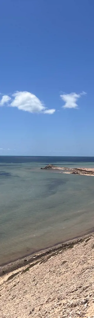 Die Shark Bay hält, was sie verspricht